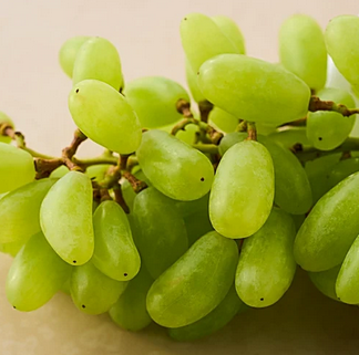 Screenshot 2026-03-31 171757.png