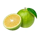 Screenshot 2026-05-31 at 10.24.52 AM.webp