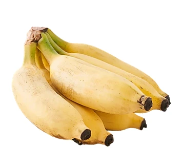 Screenshot 2026-03-31 134024.webp