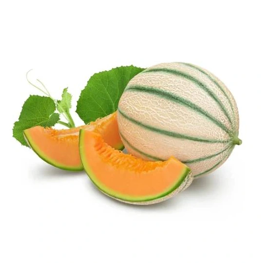 Muskmelon - Stripped