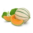 Muskmelon - Stripped