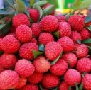 Litchi / Lychee