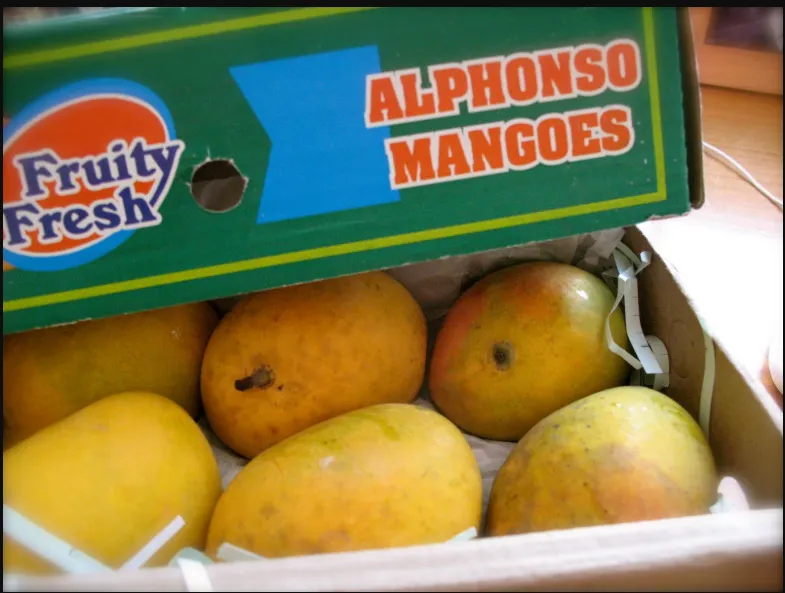 Mango - Alphonso 12 Pc Box