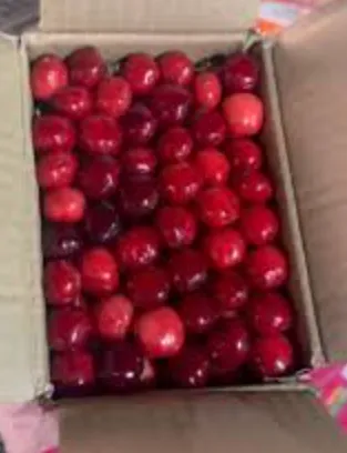 Red Cherry Box
