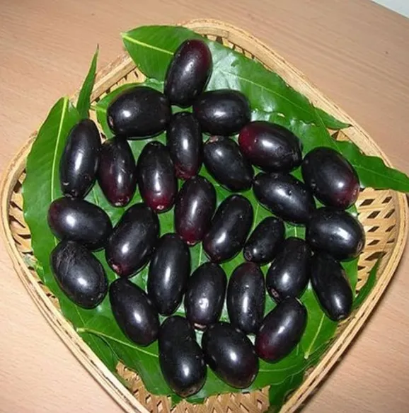 Black Jamun