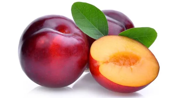 Plum Organic
