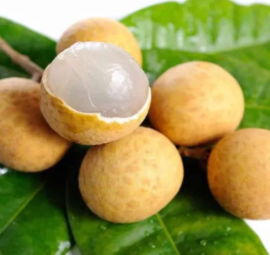Ashfall / Longan Fruit (100 gm)