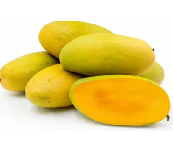 Mango - Dasheri