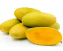 Mango - Dasheri