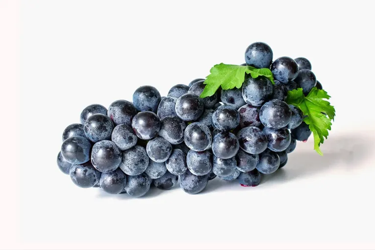 Grapes - Black