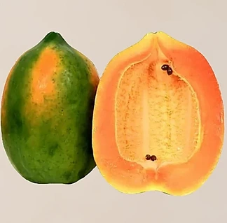Papaya - Papita