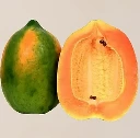 Papaya - Papita