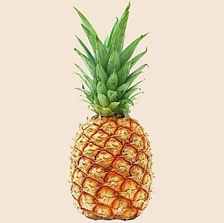 Pineapple - Large