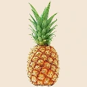 Pineapple - Large